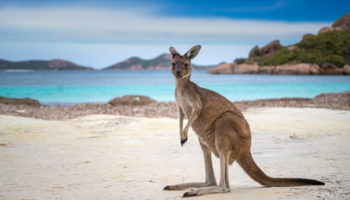 Лучшие места в Австралии, куда «почти» не ступала нога человека