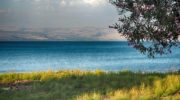 Почему озеро Кинерет называют Галилейским морем